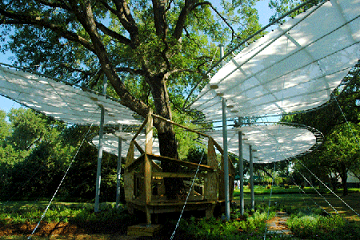 casa_arbol3.PNG